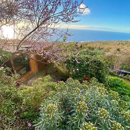 Abracaribes Bed & Breakfast Arecida Dış mekan fotoğraf