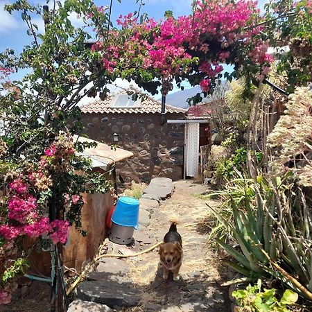 Abracaribes Bed & Breakfast Arecida Dış mekan fotoğraf