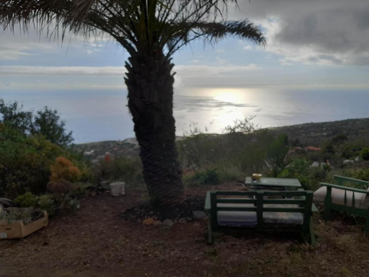 Abracaribes Bed & Breakfast Arecida Dış mekan fotoğraf