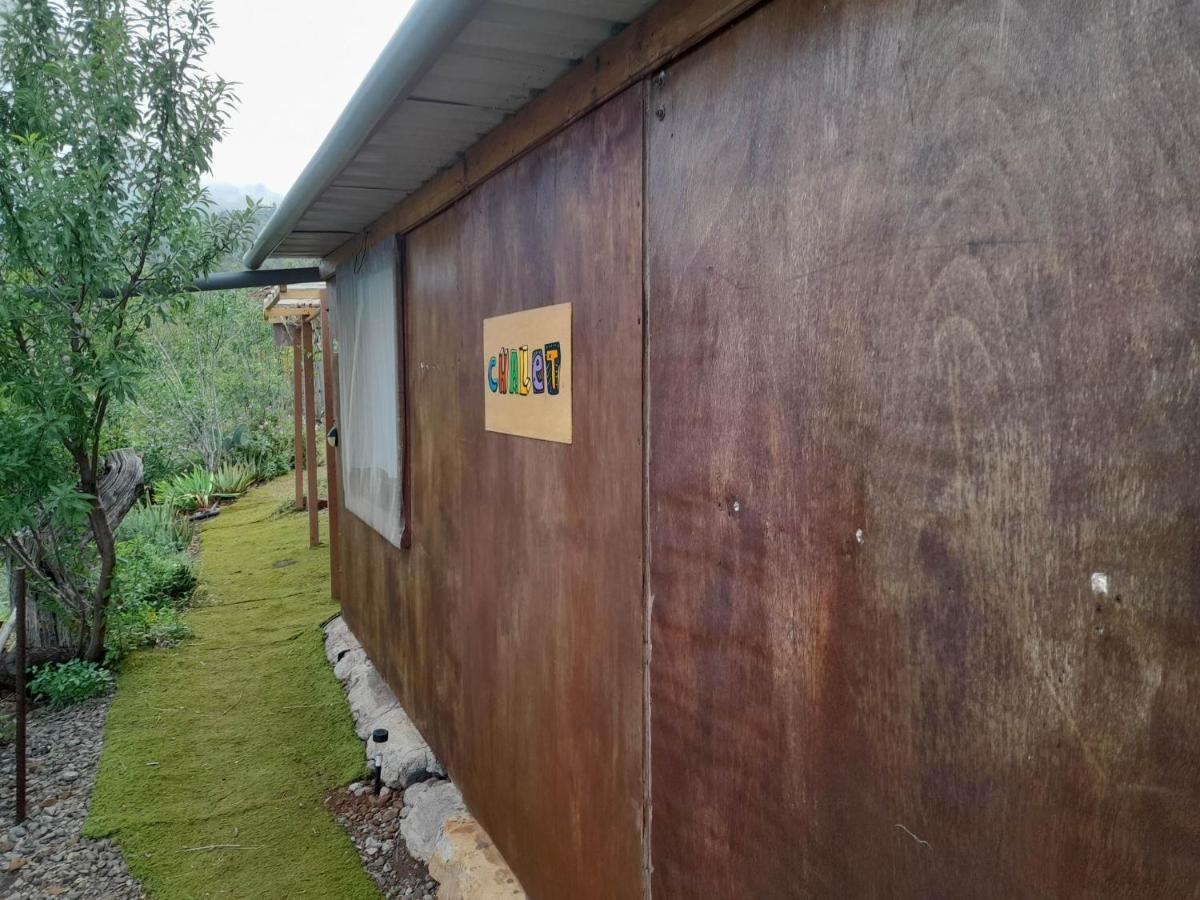 Abracaribes Bed & Breakfast Arecida Dış mekan fotoğraf