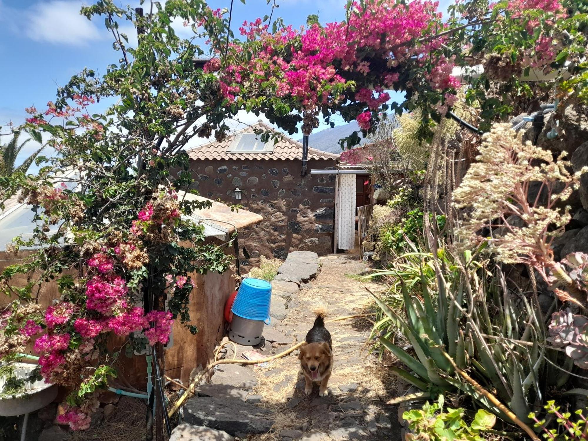 Abracaribes Bed & Breakfast Arecida Dış mekan fotoğraf