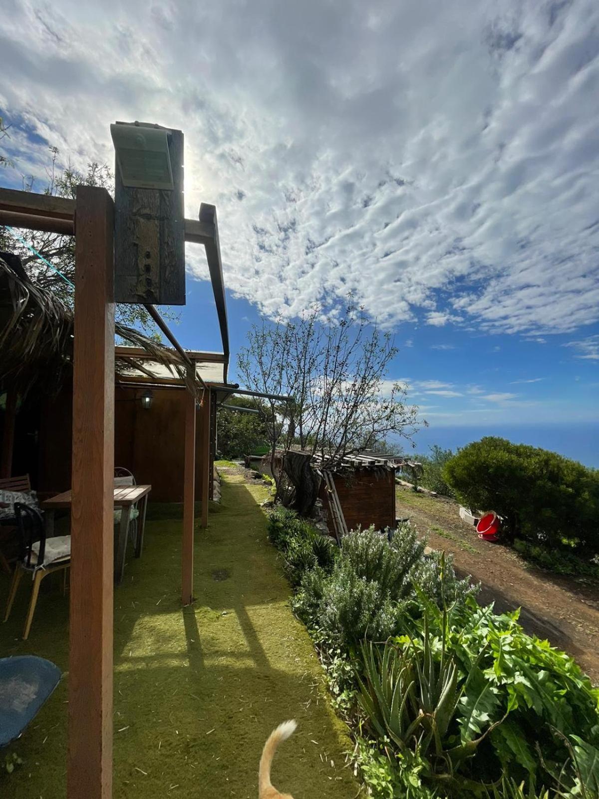 Abracaribes Bed & Breakfast Arecida Dış mekan fotoğraf