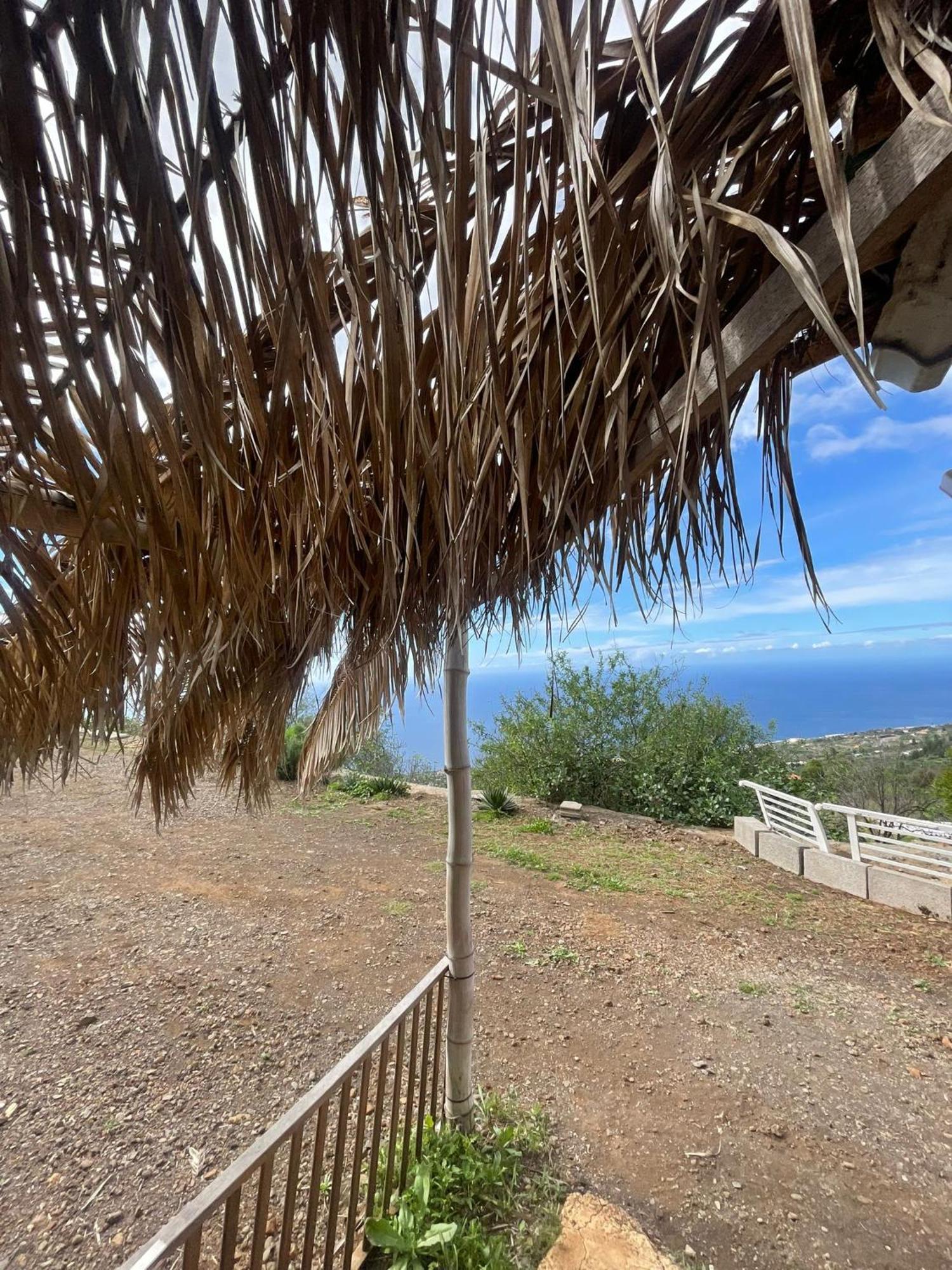 Abracaribes Bed & Breakfast Arecida Dış mekan fotoğraf