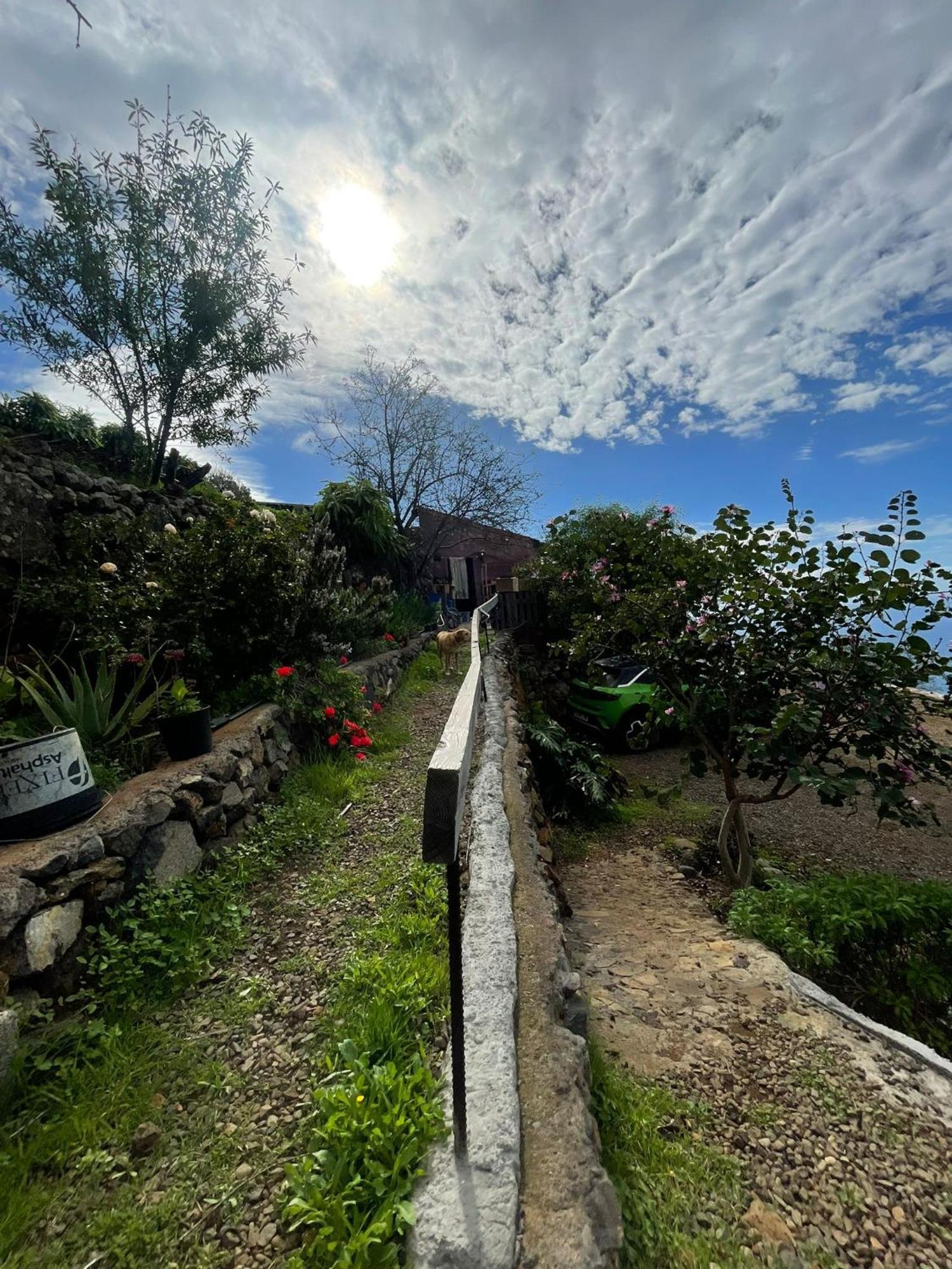 Abracaribes Bed & Breakfast Arecida Dış mekan fotoğraf