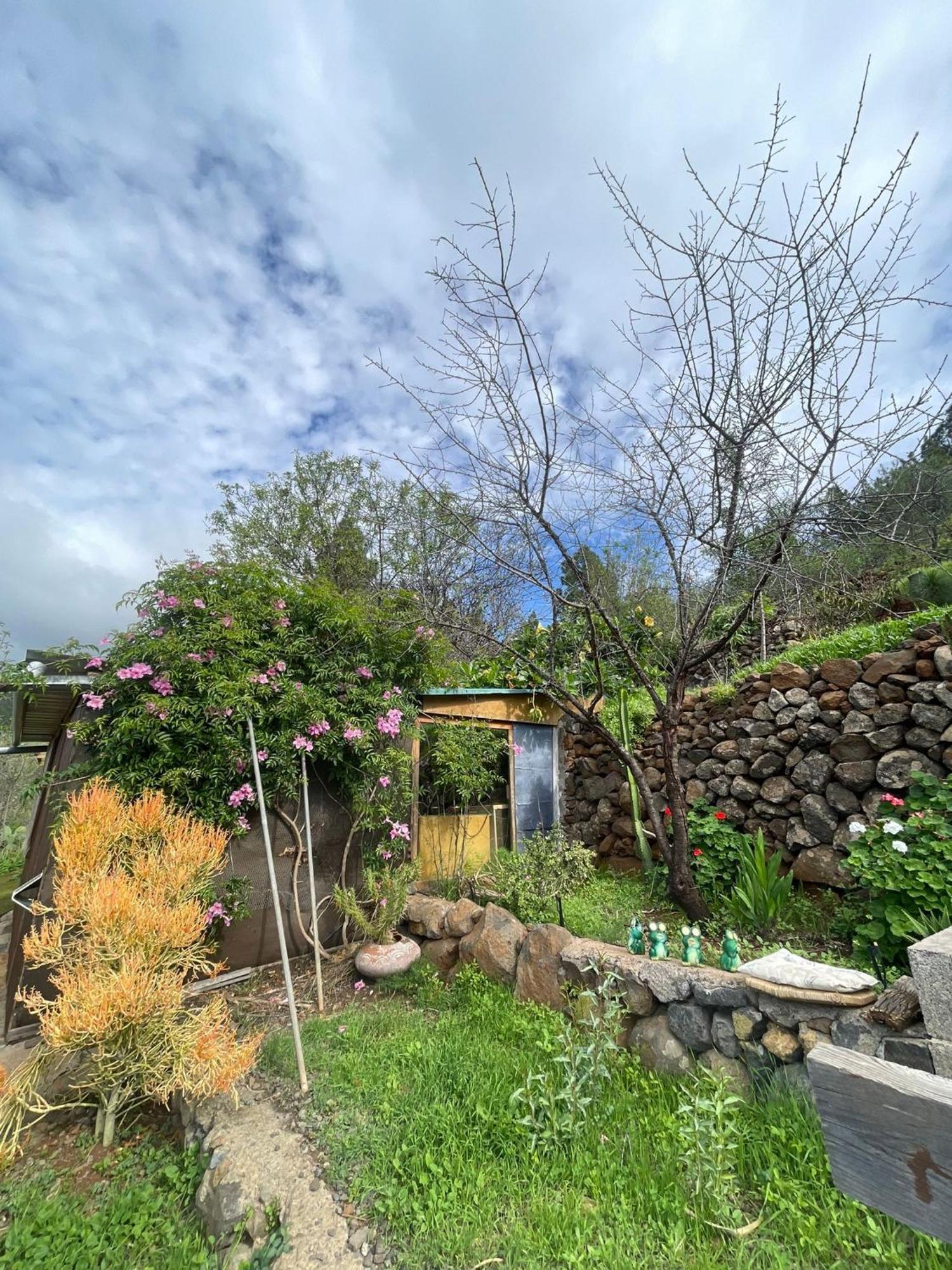 Abracaribes Bed & Breakfast Arecida Dış mekan fotoğraf