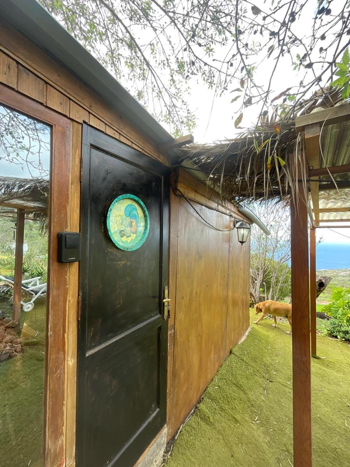 Abracaribes Bed & Breakfast Arecida Dış mekan fotoğraf