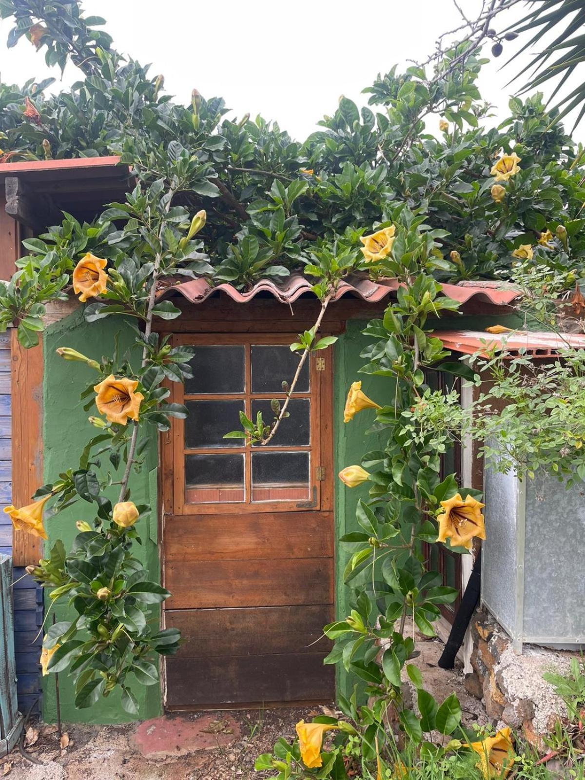 Abracaribes Bed & Breakfast Arecida Dış mekan fotoğraf