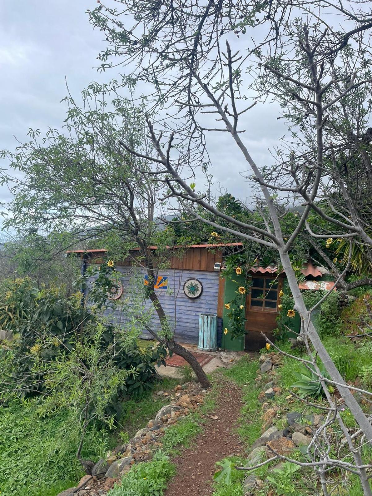 Abracaribes Bed & Breakfast Arecida Dış mekan fotoğraf